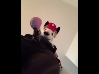 ВИД СВЕРХУ MURSUITING 1