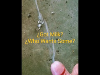 ¿got Milk?
