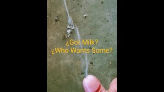 ¿Got Milk?