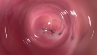 Cámara interna dentro de la vagina cremosa apretada, POV de Dick