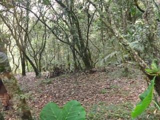 TRY NOT CUM WITH THIS FUCK IN THE FOREST LOOKING FOR SOME PRIVACY