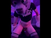 Preview 4 of Horny Puppy Hours - Fursuiter plays with XL Dildos in chastity and makes a mess (Hands free orgasm )