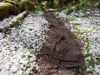 Hike with Mike POV at King's Mountain Trail