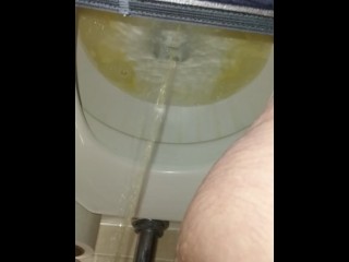 Good Morning Close up Piss and Toilet Water View