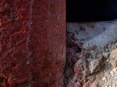 Outdoor masterbation got this lizard curious...2023