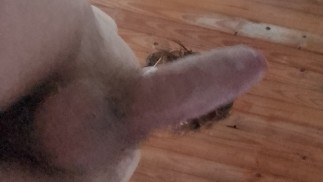 арабка с толстым членом