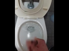 トイレで大量射精 - Screenshot 13 of 16 - R18