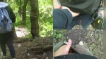 Playlist Thumb 317160061-2