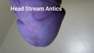 Head Stream Antics