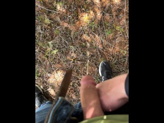 Cruising and Pissing in the Forest