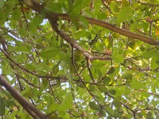 Fucking with Nature...Hot new