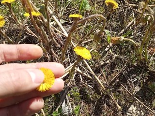 Cute Young Flowers