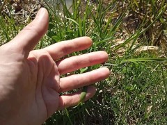 Petting grass on camera