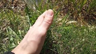 Petting grass on camera