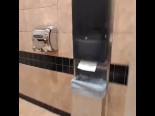 Public Bathroom Flash (completely nude)