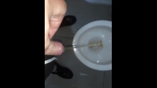 在高速公路终点站撒尿