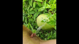 Girl pissing on the coconut in the jungle grass