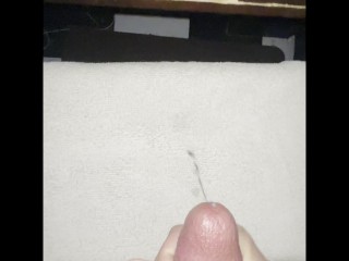 只是一个快速的坚果