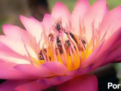 upload test 01 01 01