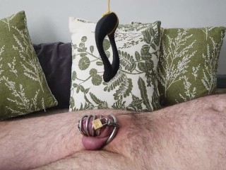 I Hadjob my Cuckold - Teased and Runined with a Vibrator and Palm
