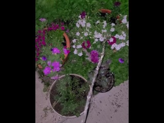 Watering The Flowers! 2 《4》