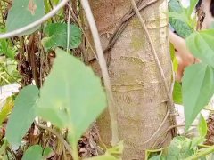 Tagas ang katas ng college Teen nag finger Muna bago umuwi