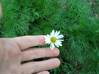 Cute Flower