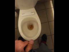The Plumber Pisses in the Toilet, which Toluo that Subdued for Client