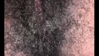 Добро пожаловать в Hairyland