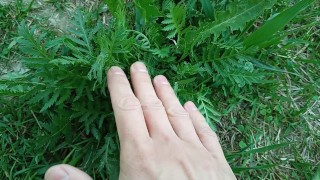 愛撫セクシーな植物