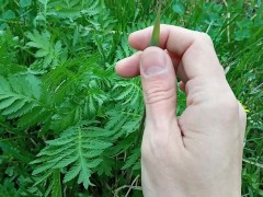 Jerked off with a grass