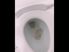 【個人撮影】デパートの共用トイレでオシッコしちゃうパンスト女の子が可愛すぎる【素人】 - Screenshot 16 of 16 - Pee