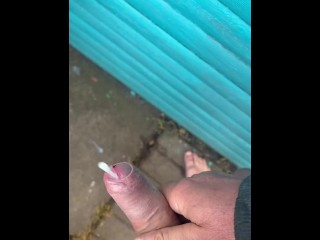 Рассветный хор дрочит