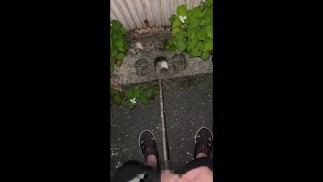 Pee Pissing Standing Pissing No Pissing