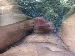 Feeding the Fish