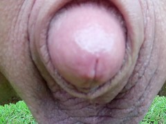 close up piss - Screenshot 6 of 16 - Closeup Piss