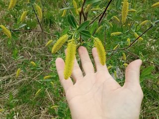 dendrophilus, dendrophilia, flover, cute