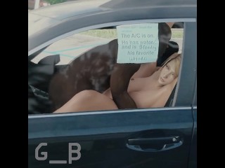 The AC is On. he has Water. and he is Breeding his Favorite Whore