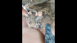 Девушка помочилась возле большого старого дерева с поднятой одной ногой