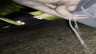 Big cock releasing golden rain. Big pissing