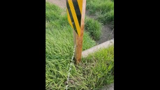 Горячий Писающий Сборник В Случайных Местах 05/23