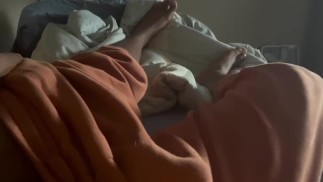 Голавль утренний лес