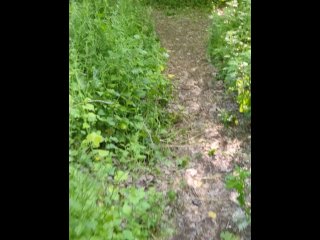 Soundview park used condom hideout come find me