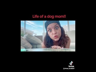 Het Leven Van Een Hondenmoeder