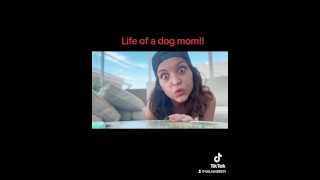 A vida de uma mãe de cachorro