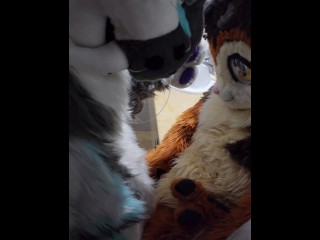 This Big Kitty Fucks his Wife before Shower - Maho & Xytan