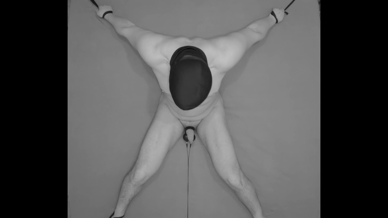 実験:睾丸電気刺激