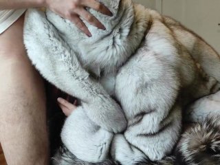 butt, handjob, fur coat sex, teen