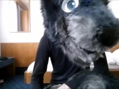 Under the cute Wolf is a locked Kinkster