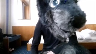 Under the cute Wolf is a locked Kinkster